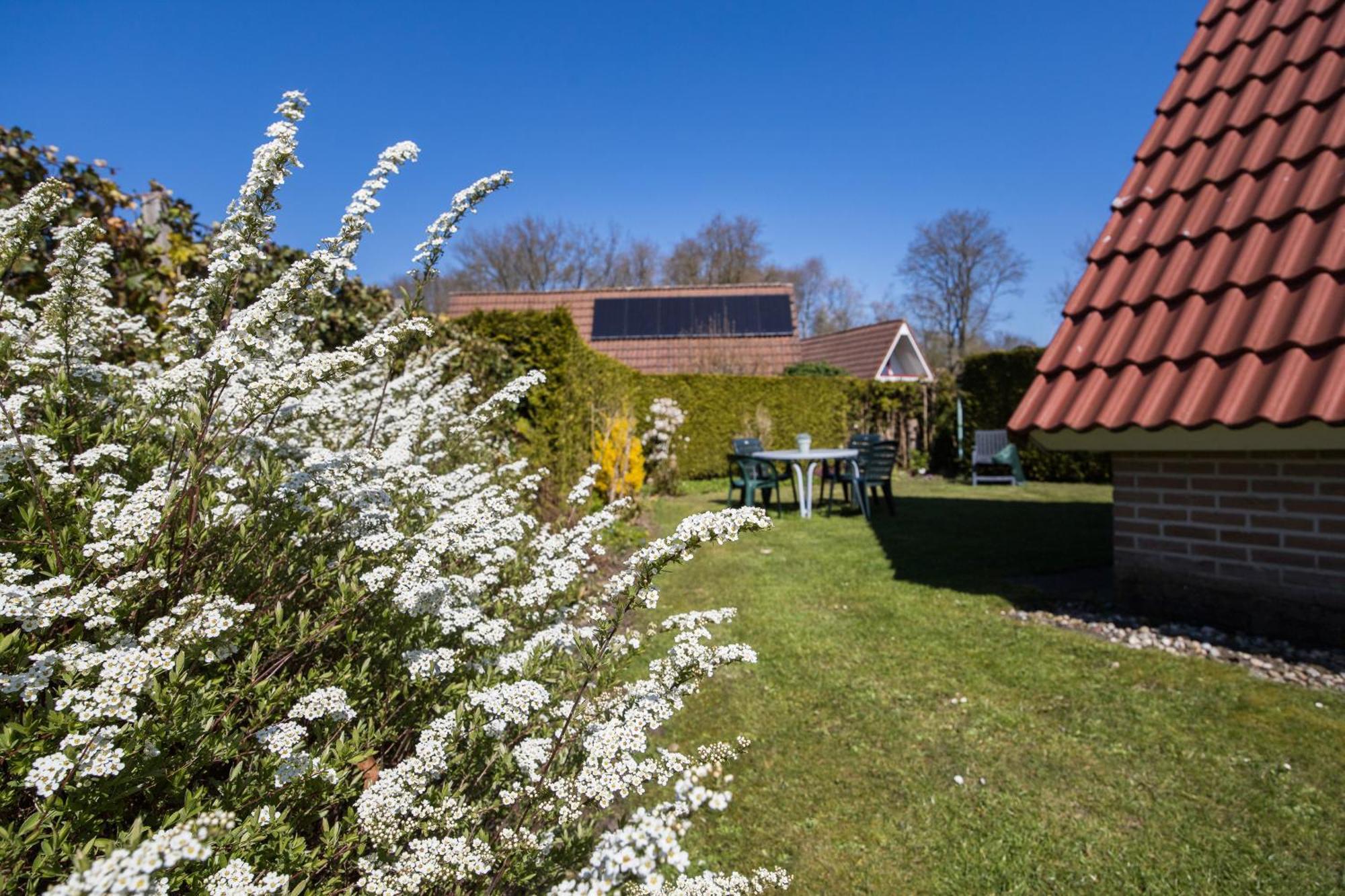 Aalscholver I Nette Vrijstaande Vakantiewoning Zwiggelte
